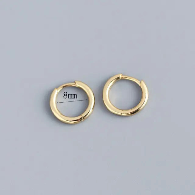 Stainless Steel Minimalist Hoop Earrings